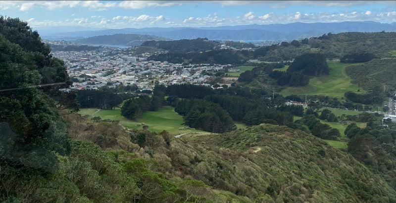 107B Quebec Street, Kingston, Wellington - Carousel 1