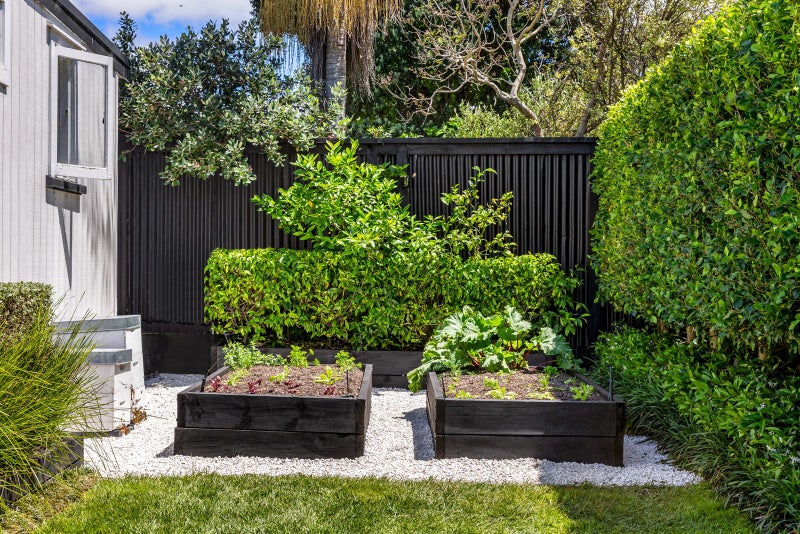 24 Riro Street, Point Chevalier, Auckland - Carousel 2