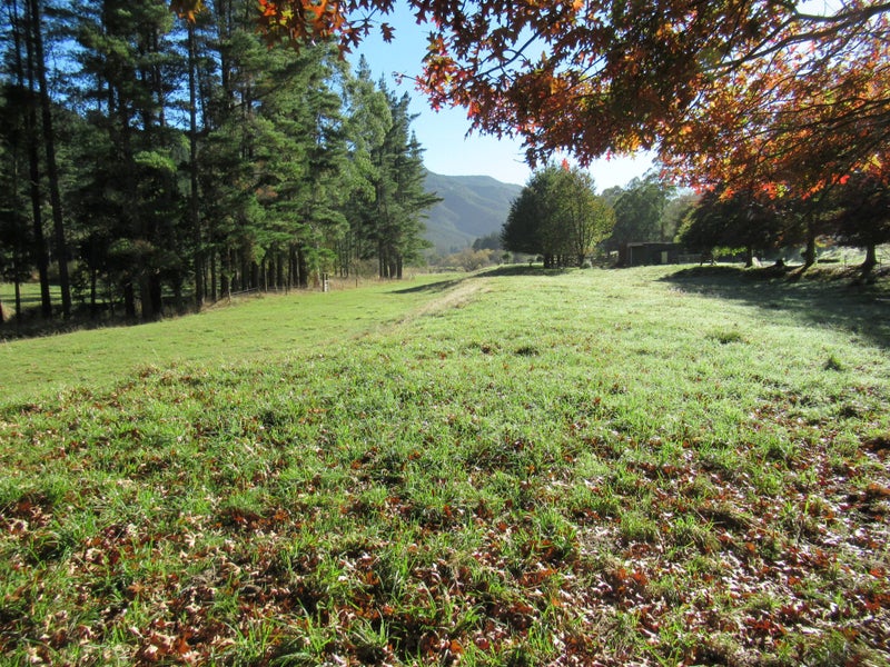 99 Serpentine River Road, Aniseed Valley - Carousel 2