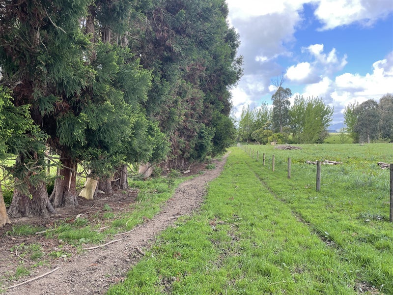 106 Kukutauaki Road, Koputaroa, Shannon - Carousel 5