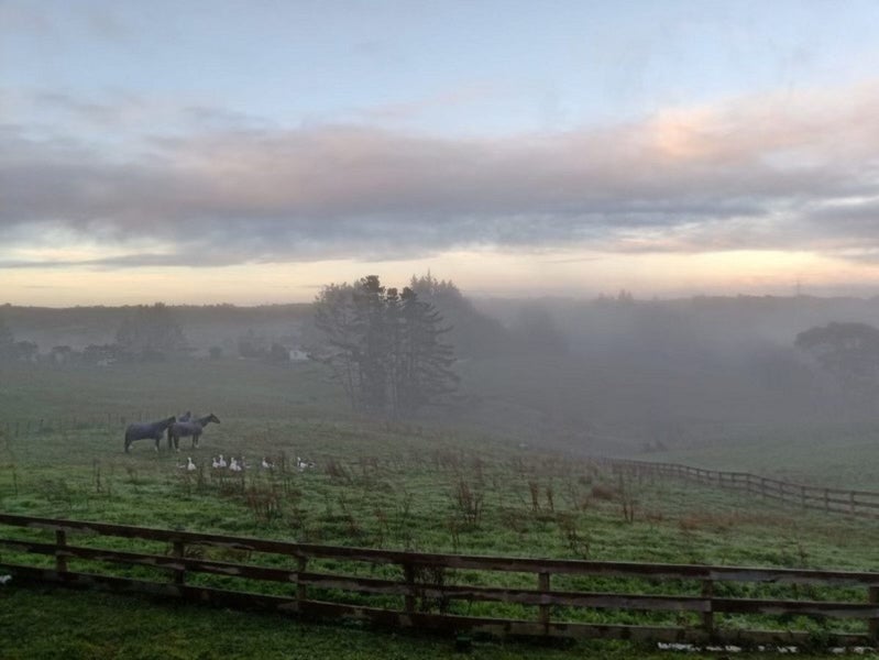 376 Bawden Road, Albany - Carousel 22