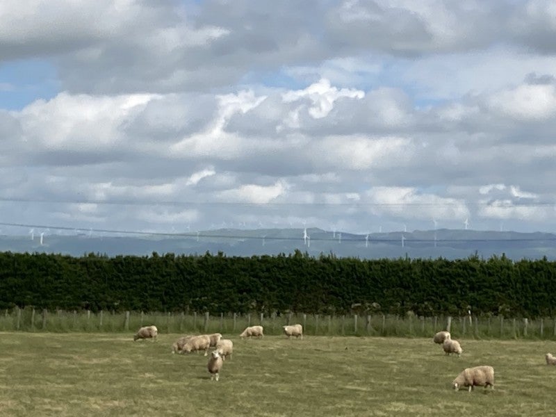 0 Camerons Line, Aorangi, Feilding - Carousel 2