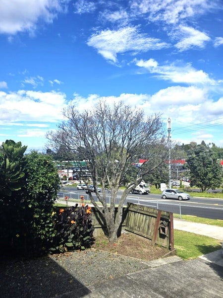 220 Fraser Street, Tauranga South, Tauranga - Carousel 17