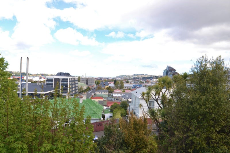 143 St David Street, North Dunedin, Dunedin - Carousel 13
