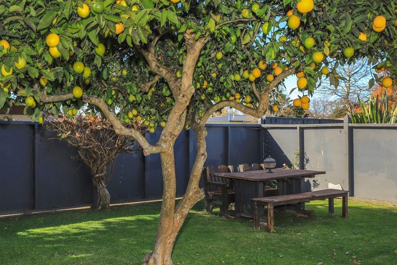 500 Hart Place, Frimley, Hastings - Carousel 19