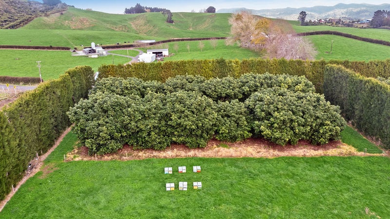 0 Pukekauri Road, Waikino, Waihi - Carousel 2