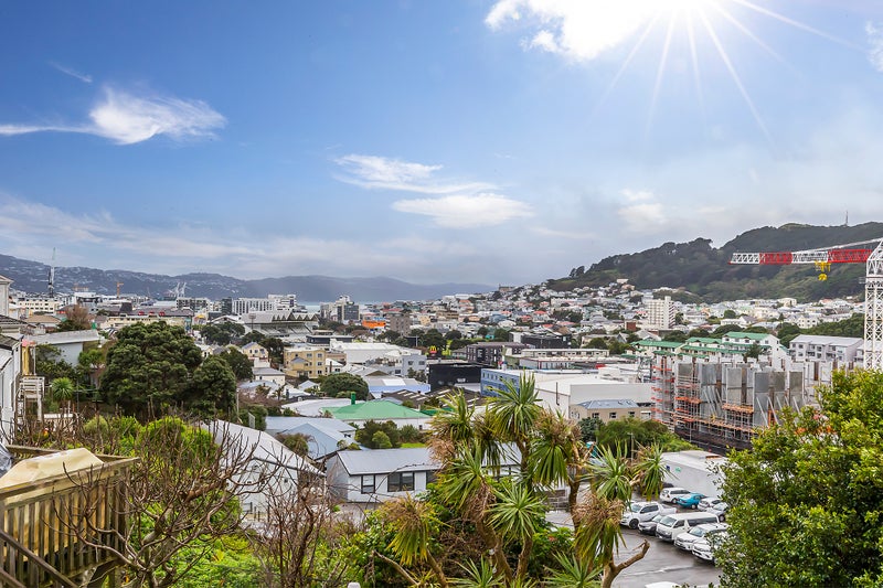 145 Tasman Street, Mount Cook, Wellington - Carousel 17