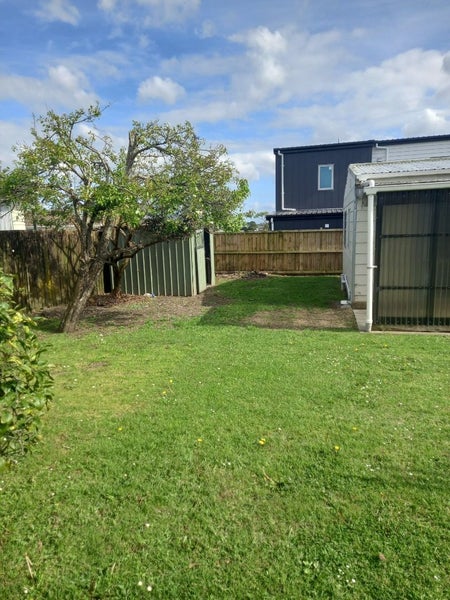 6 Balwyn Place, Clendon Park, Auckland - Carousel 24