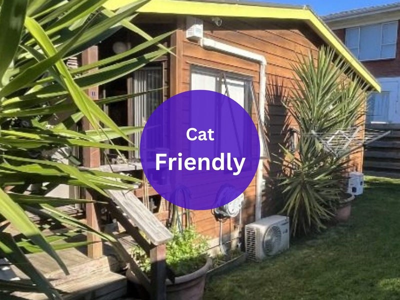 84B Owairaka Avenue, Mount Albert, Auckland - Carousel 1