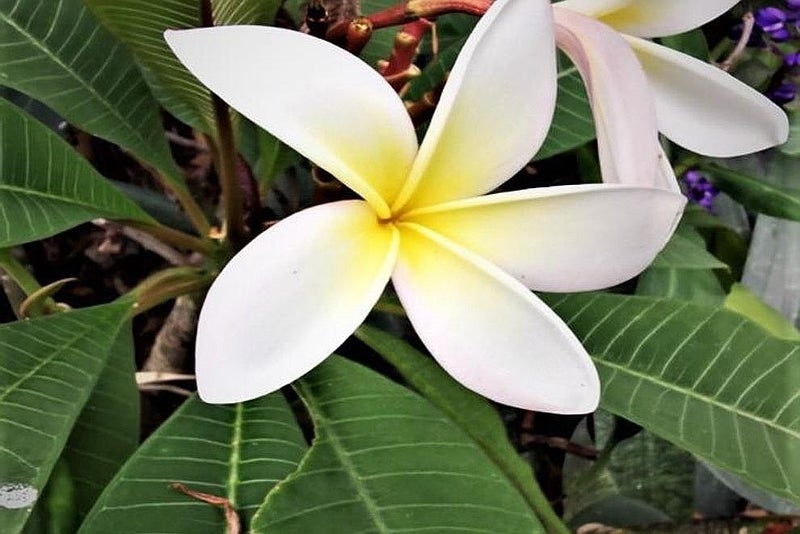 28 Matakohe East Road, Matakohe - Carousel 30