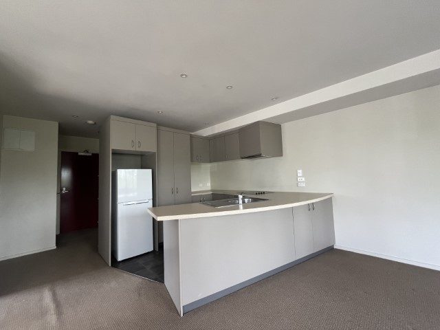 3/189 Ohiro Road, Brooklyn, Wellington - Carousel 1