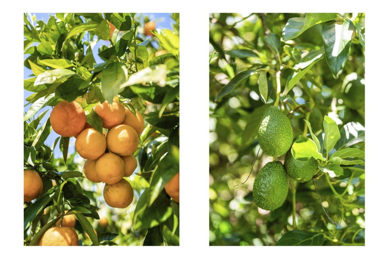 34 Tuscany Place, Ohauiti, Tauranga - Carousel 41