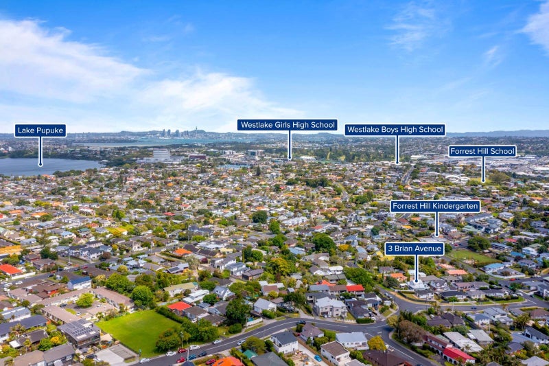 3 Brian Avenue, Forrest Hill, Auckland - Carousel 25