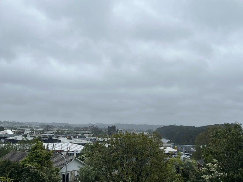 3 Altair Place, Windsor Park, Auckland - Carousel 2