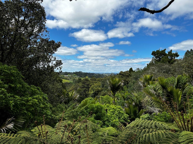 449 Dairy Flat Highway, Albany - Carousel 32