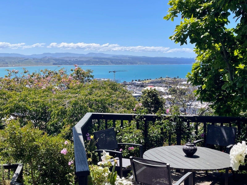 35 Goldsmith Road, Hospital Hill, Napier - Carousel 1