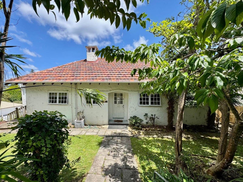 19 Belvedere Street, Epsom, Auckland - Carousel 1