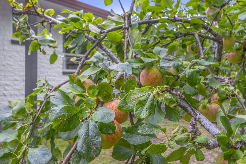 2/321 Burwood Road, Burwood, Christchurch - Carousel 13