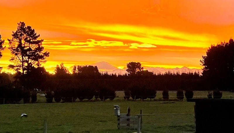 981A Old West Coast Road, Christchurch - Carousel 30