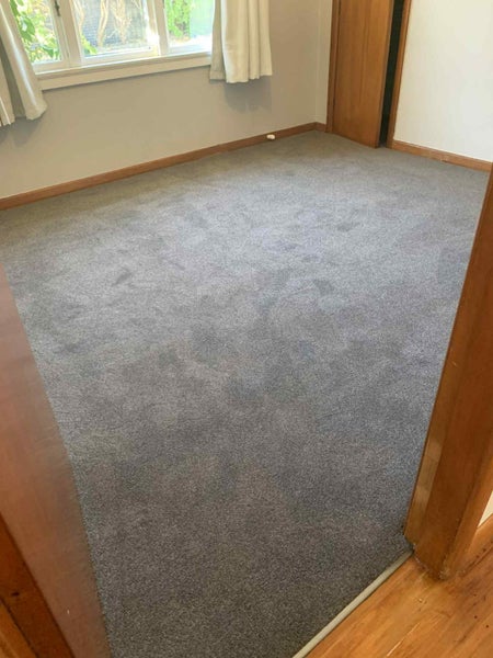 370 Annesbrook Drive, Annesbrook, Nelson - Carousel 21