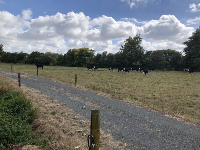 328 Puketaha Road, Puketaha - Carousel 9