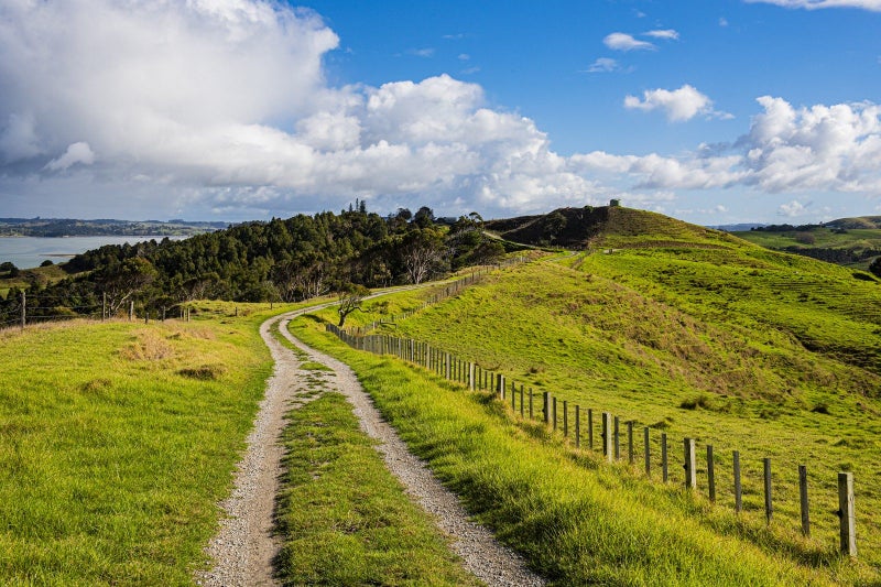 164 Beatson Road, Whakapirau - Carousel 19