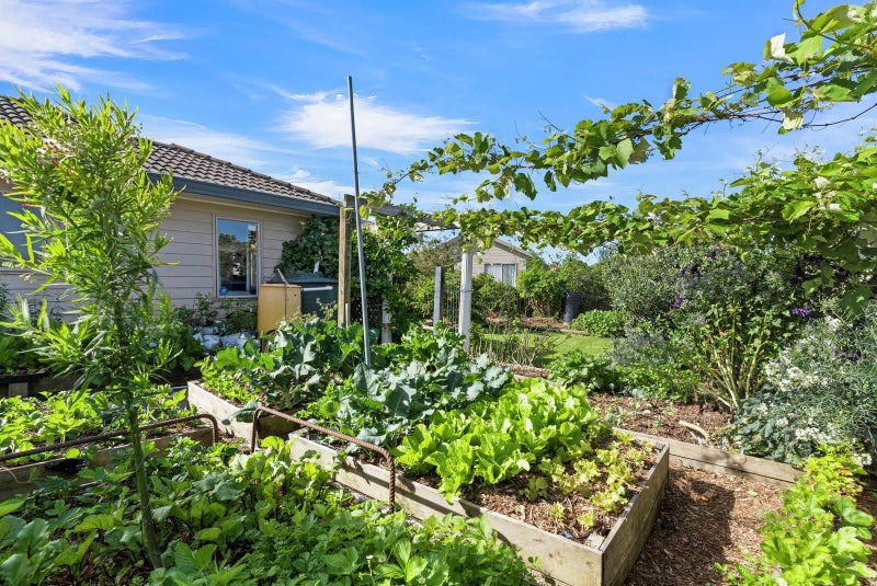 10 Lutana Place, Burswood, Auckland - Carousel 14