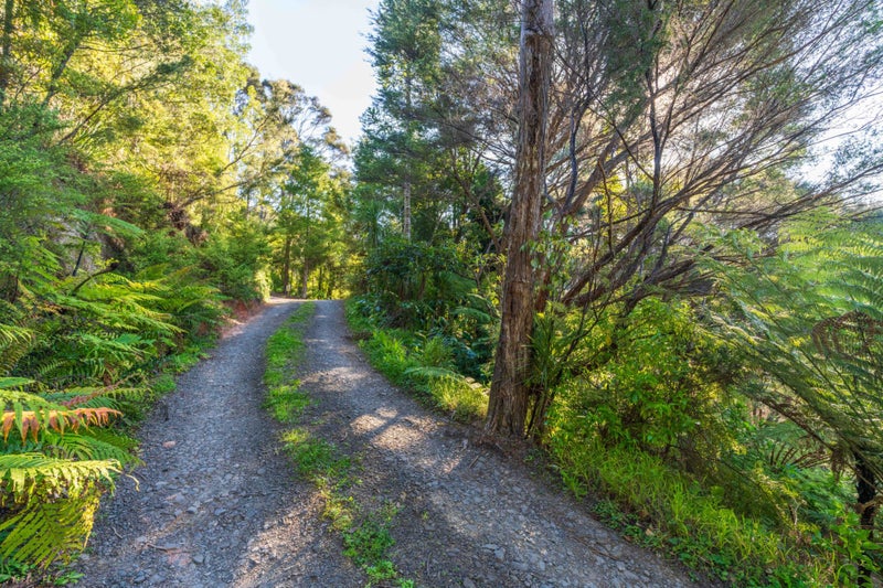 19 Hayes Road, Henderson Valley, Auckland - Carousel 10