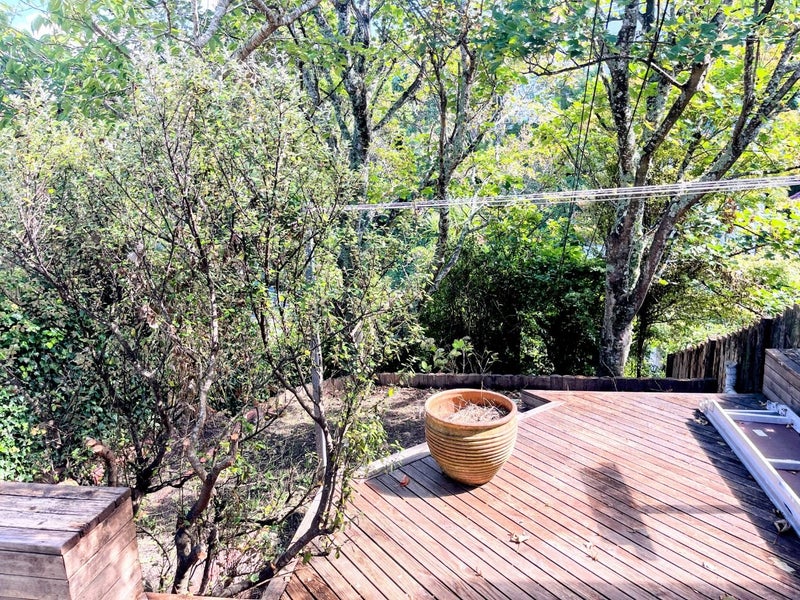 2 Springfield Terrace, Kelburn, Wellington - Carousel 16