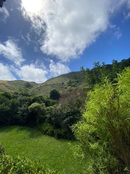 169 Parkvale Road, Karori, Wellington - Carousel 11