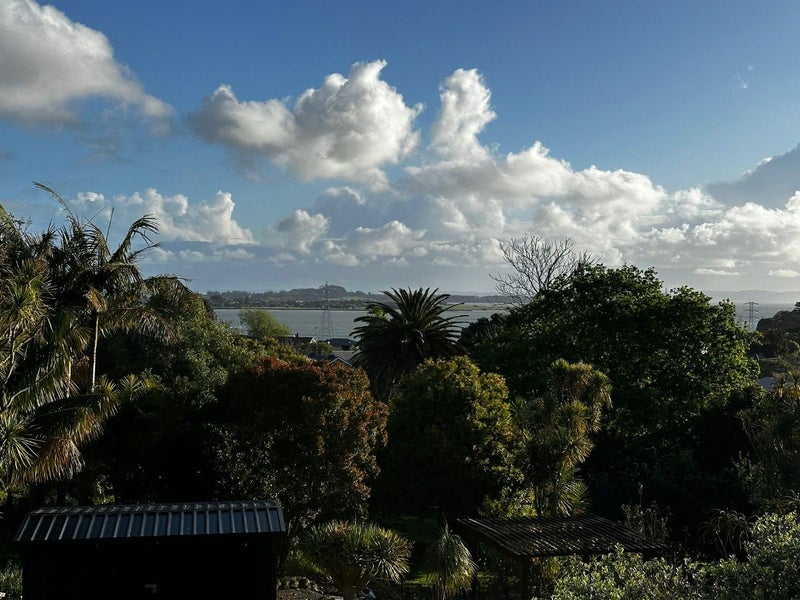 3/62 Quadrant Road, Onehunga, Auckland - Carousel 2