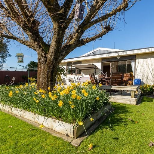 119A South Belt, Solway, Masterton - Carousel 1