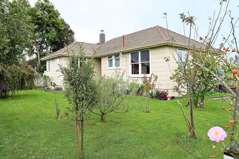 42 Williams Street, Marewa, Napier - Carousel 18