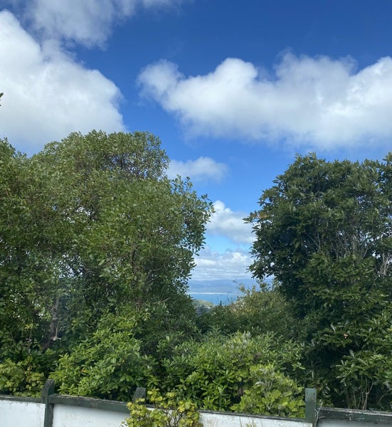 6A Downing Street, Crofton Downs, Wellington - Carousel 10