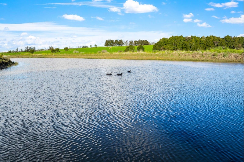 14 Turaki Lane, Kaipara Flats, Warkworth - Carousel 13