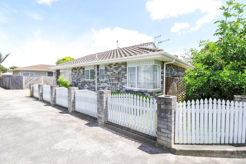 26A Windsor Street, Terrace End, Palmerston North - Carousel 2