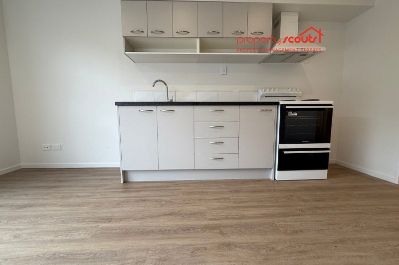 77E Bordesley Street, Phillipstown, Christchurch - Carousel 2