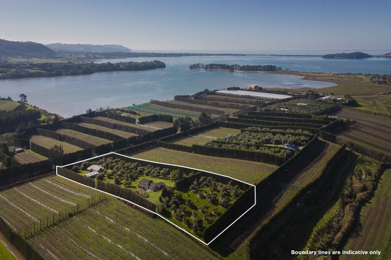 210 Tuapiro Road, Tahawai - Carousel 1