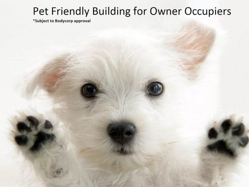 3N/6 Victoria Street East, Auckland Central, Auckland - Carousel 11