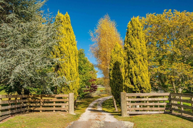 8 Mark Wynd, Taupo - Carousel 36