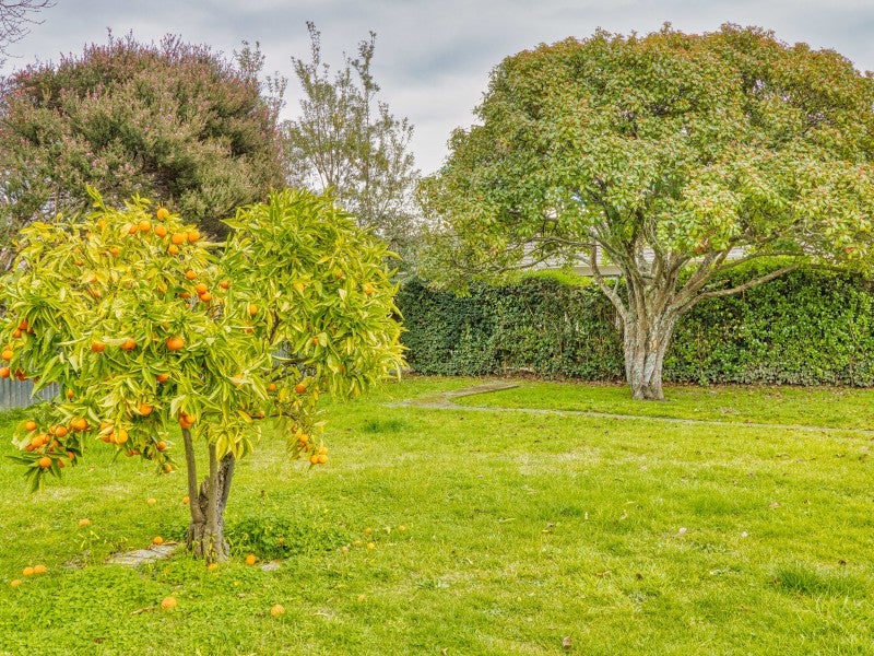 66A Douglas Mclean Avenue, Marewa, Napier - Carousel 1