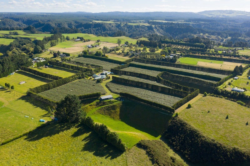 585D Mclaren Falls Road, Tauranga - Carousel 23