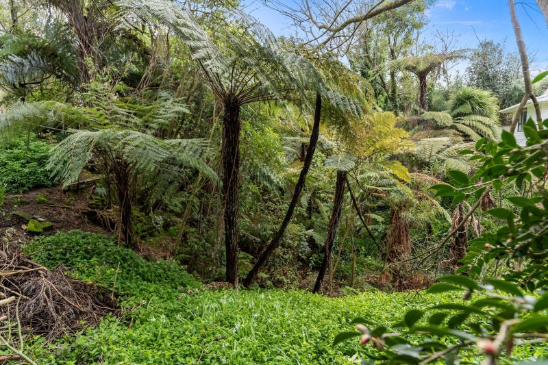 19 Urlich Avenue, Melville, Hamilton - Carousel 21