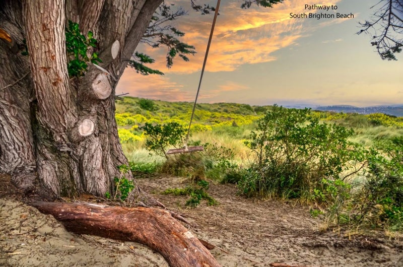 401 Pine Avenue, South New Brighton, Christchurch - Carousel 21