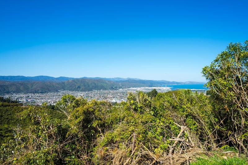 107 Sweetacres Drive, Belmont, Lower Hutt - Carousel 2