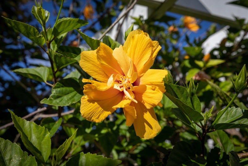 1 Tilby Drive, Matua, Tauranga - Carousel 35