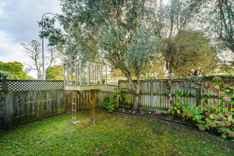 118 Pahiatua Street, Hokowhitu, Palmerston North - Carousel 24