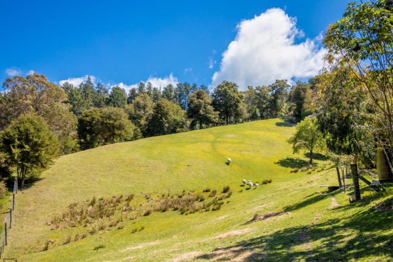 232 Umukuri Road, Brooklyn, Motueka - Carousel 24