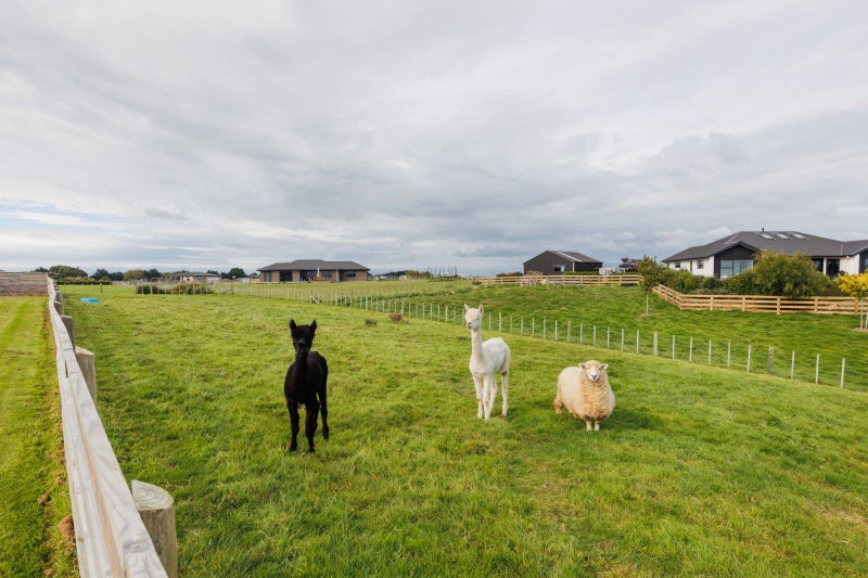 9 Mataki Lane, Halcombe, Feilding - Carousel 32