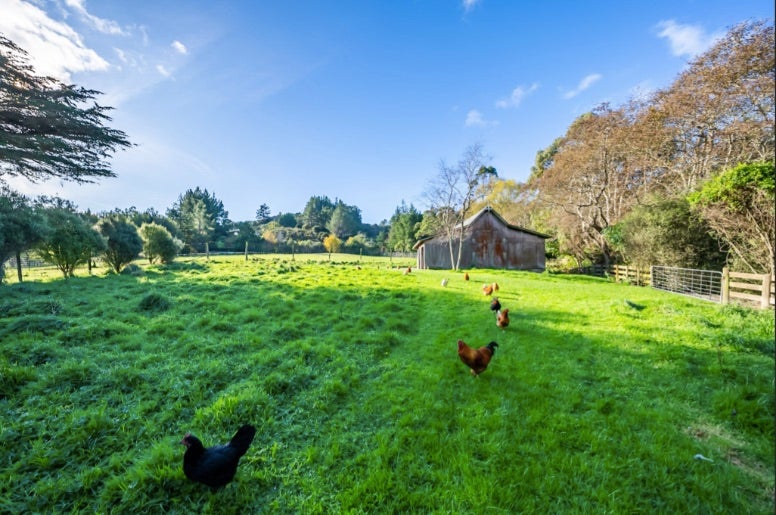 1031A Blue Mountains Road, Blue Mountains, Upper Hutt - Carousel 2